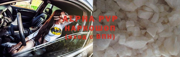 индика Аркадак