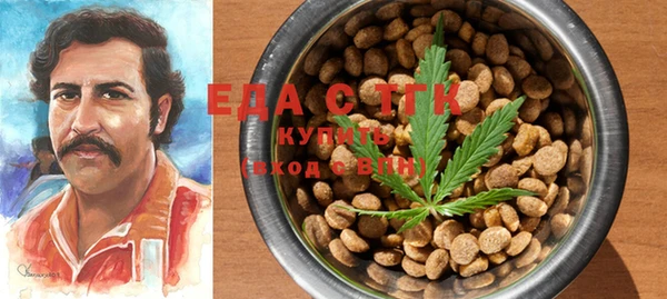 индика Аркадак