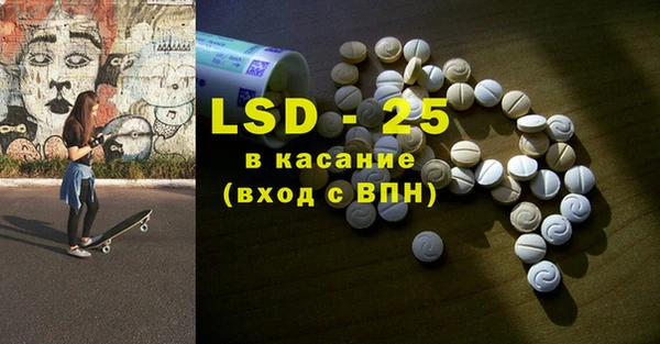 индика Аркадак