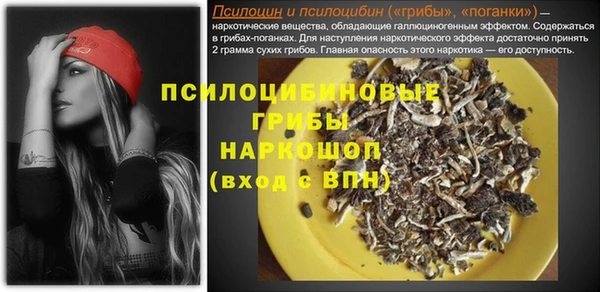 индика Аркадак