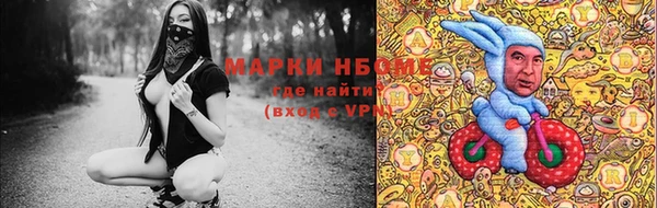 гидропоника Алзамай