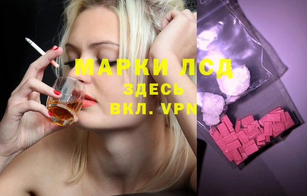 прущие крисы Арсеньев