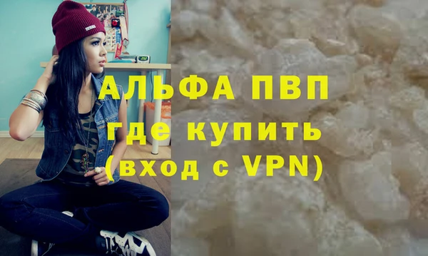 индика Аркадак