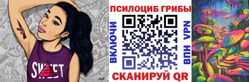 Псилоцибиновые грибы Psilocybe  Купить  Мариинский Посад 